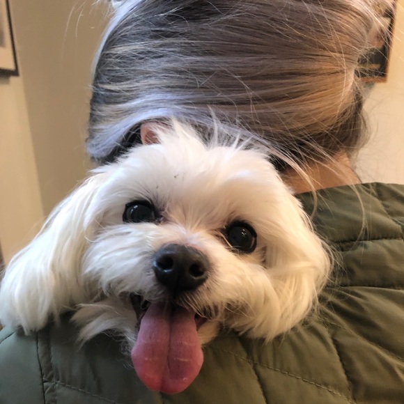 Meet your Posher, Agnes - Picture 1 of 2